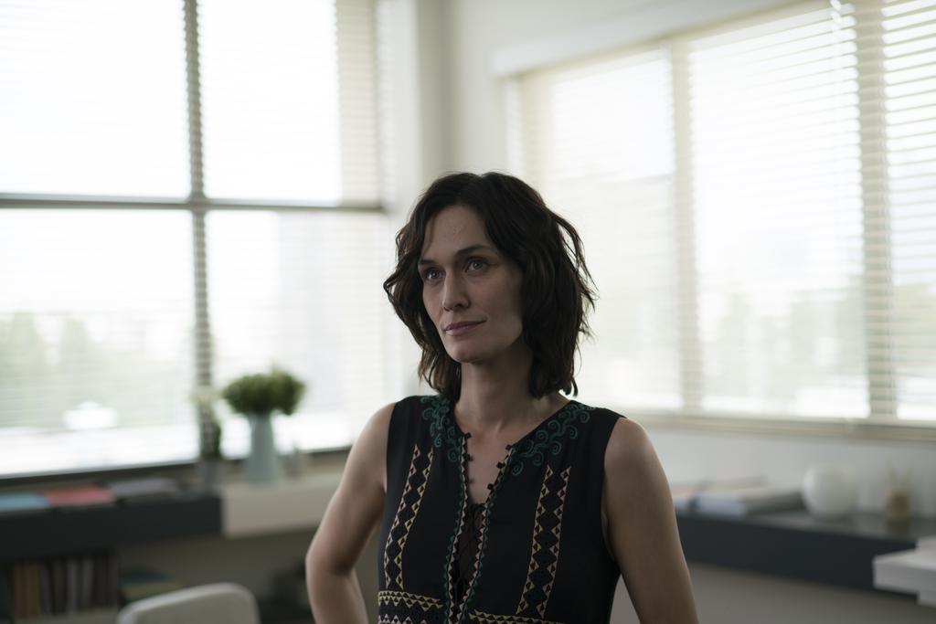 Festa do Cinema Franc&ecirc;s - 2017