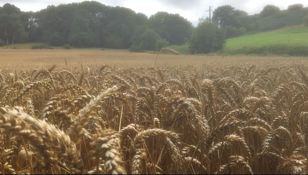 Marika Hupé - © Anne-Lise Maurice Marika Hupé - © Anne-Lise Maurice