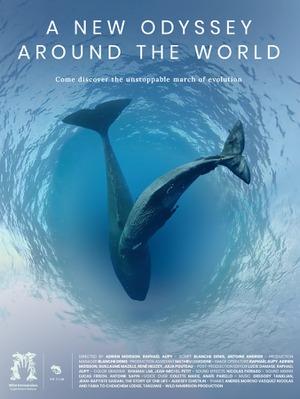 A new odyssey around the world A new odyssey around the world