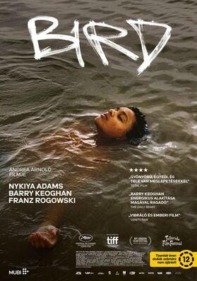 Bird - Hungary Bird - Hungary