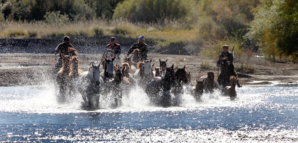 Rio de Janeiro International Film Festival - 2017 Rio de Janeiro International Film Festival - 2017