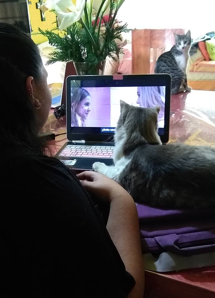 Concurso de fotos del 2019: Les presentamos las mejores fotos Concurso de fotos del 2019: Les presentamos las mejores fotos