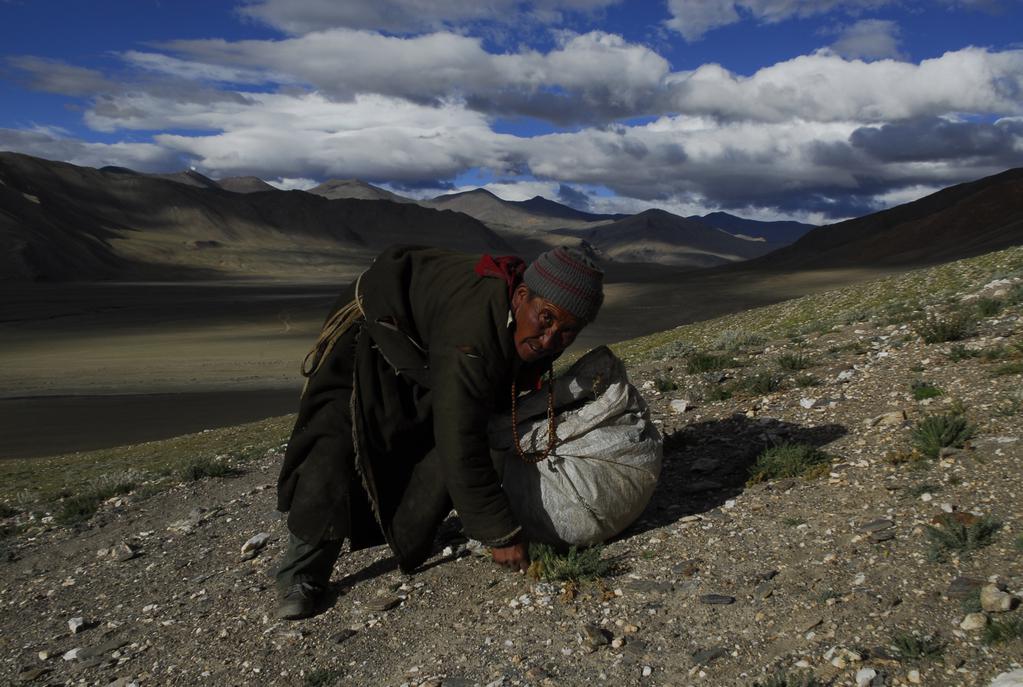 La Nuit nomade - © Zed / Marianne Chaud / Maximilian Essayie La Nuit nomade - © Zed / Marianne Chaud / Maximilian Essayie