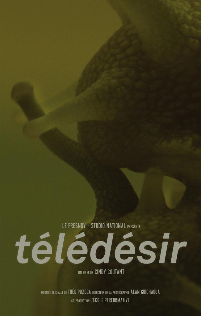 Télédésir Télédésir