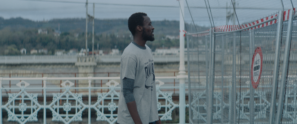 La isla de los faisanes La isla de los faisanes