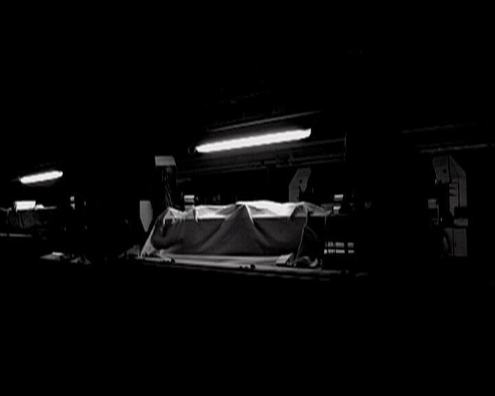 Festival international du court-métrage de Téhéran - 2007 Festival international du court-métrage de Téhéran - 2007