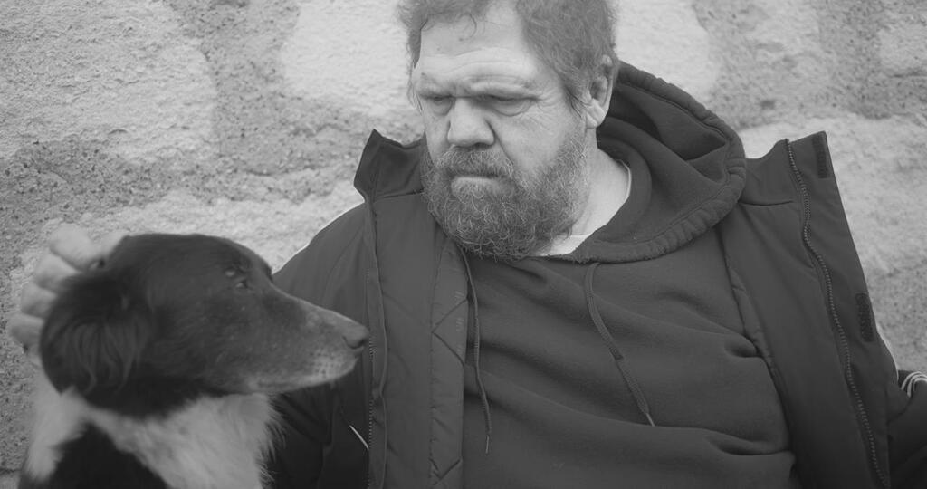 Seul le chien Seul le chien