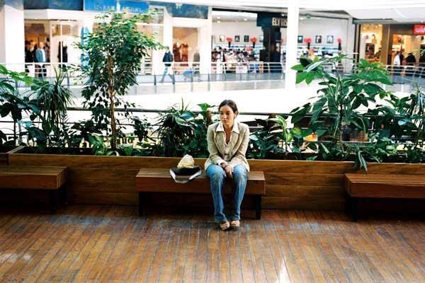 The Following Year The Following Year