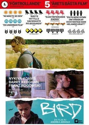 Bird - Sweden Bird - Sweden