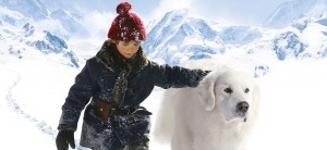 Box-office franc&eacute;s en el mundo - Enero de 2014