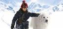French films at the international box office: January 2014 French films at the international box office: January 2014