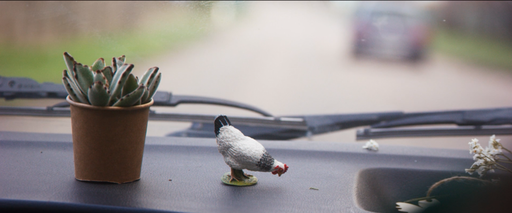 Las Poulettes Las Poulettes