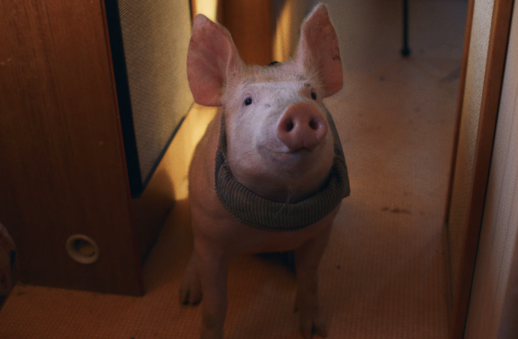 Nina & The Pig Nina & The Pig