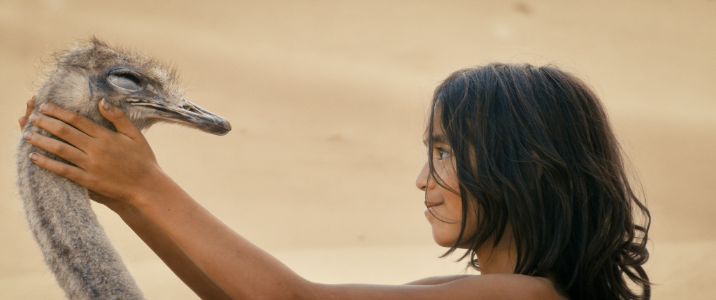 L'Enfant du désert - © 2025 MAI JUIN PRODUCTIONS - STUDIOCANAL - UMEDIA L'Enfant du désert - © 2025 MAI JUIN PRODUCTIONS - STUDIOCANAL - UMEDIA