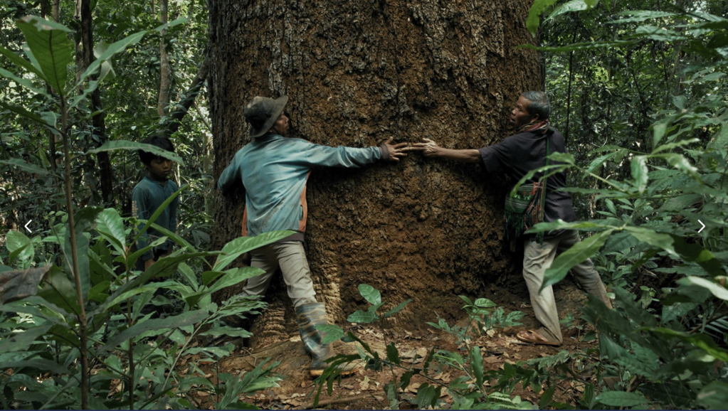 Nous sommes les fruits de la for&ecirc;t - &copy; ARTE France/ CDP / Anupheap Production 2025