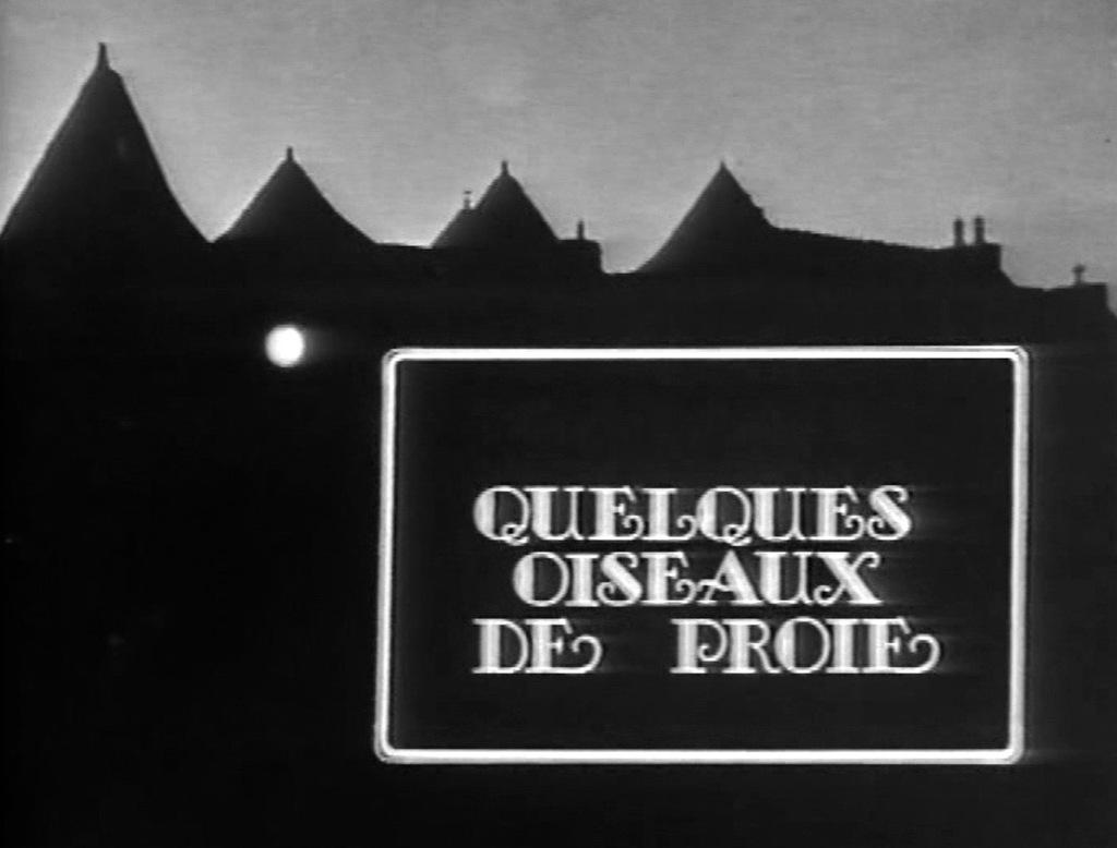 Quelques oiseaux de proie Quelques oiseaux de proie