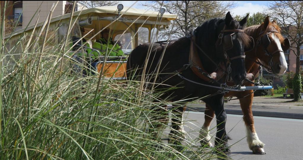Grande-Synthe - La Ville où tout se joue Grande-Synthe - La Ville où tout se joue