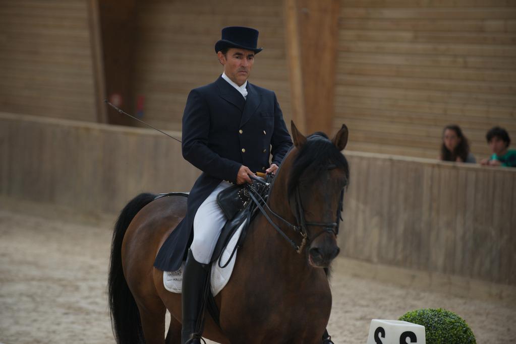 Brussels - Film Festival - 2015 Brussels - Film Festival - 2015