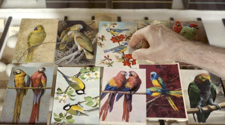 Langue des oiseaux Langue des oiseaux