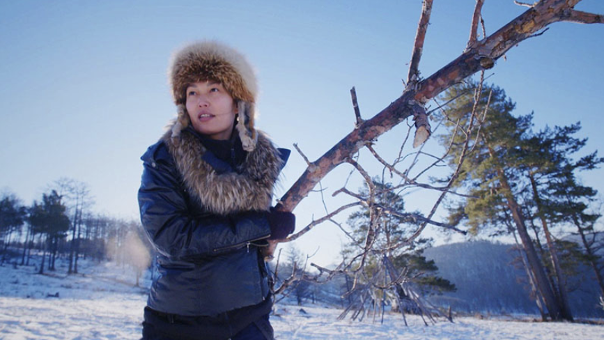 Hot Docs - 2024