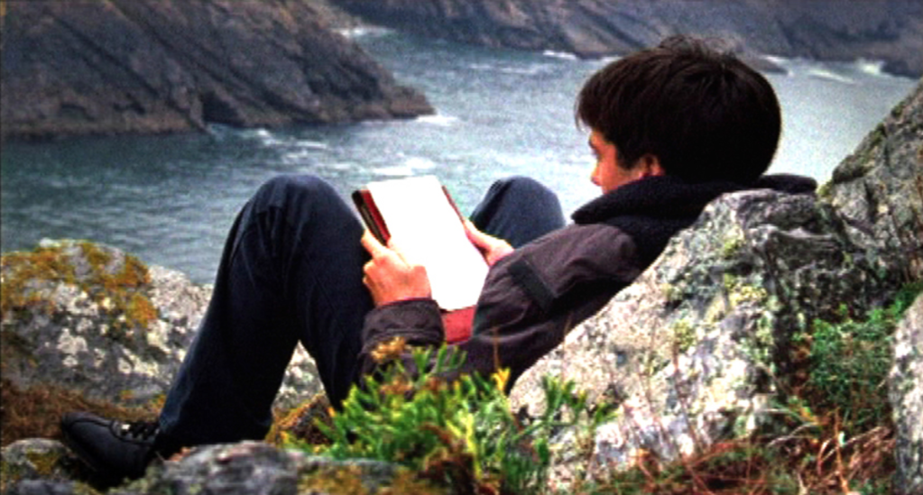 Le Fils du caméléon Le Fils du caméléon