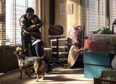 Dogman Dogman