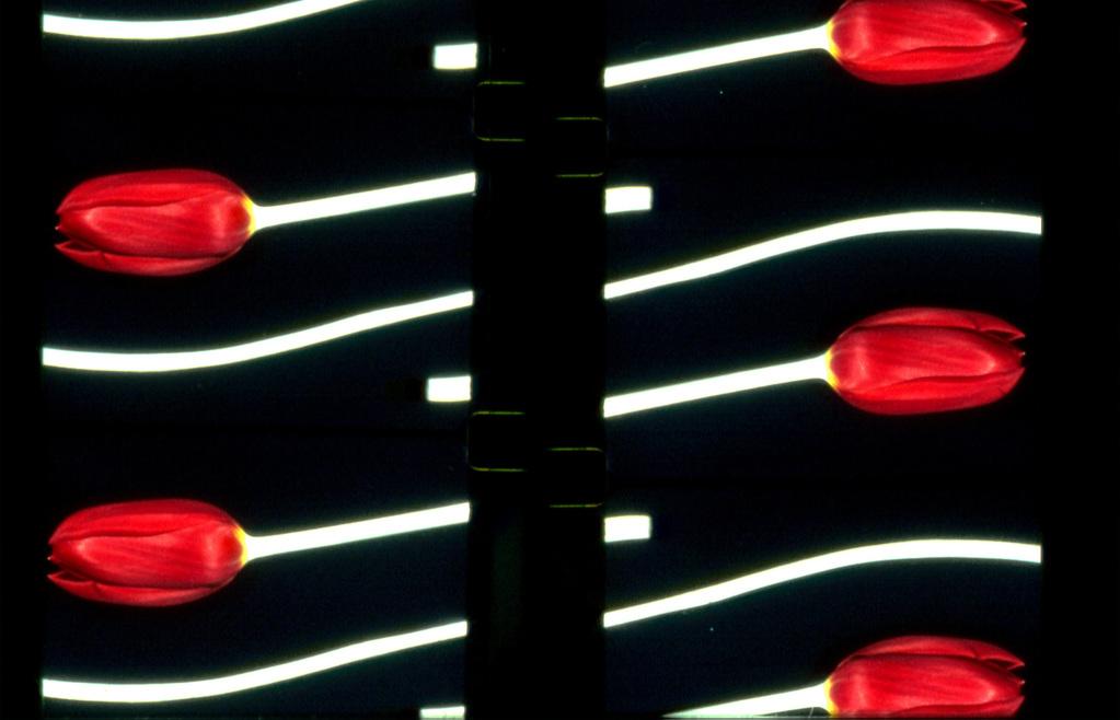 Nicolas V&eacute;rin