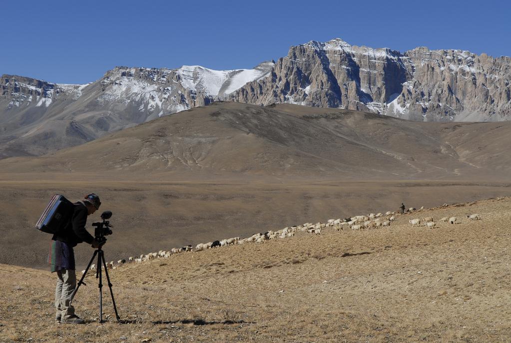 La Nuit nomade - © Zed / Marianne Chaud / Maximilian Essayie La Nuit nomade - © Zed / Marianne Chaud / Maximilian Essayie