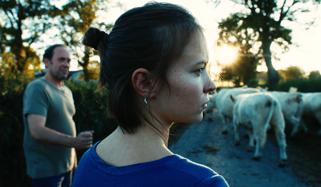 Na&euml;l Marandin - &copy; Diligence Films