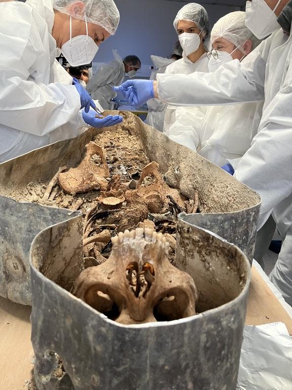 The Lost Tombs of Notre-Dame - © ZED The Lost Tombs of Notre-Dame - © ZED