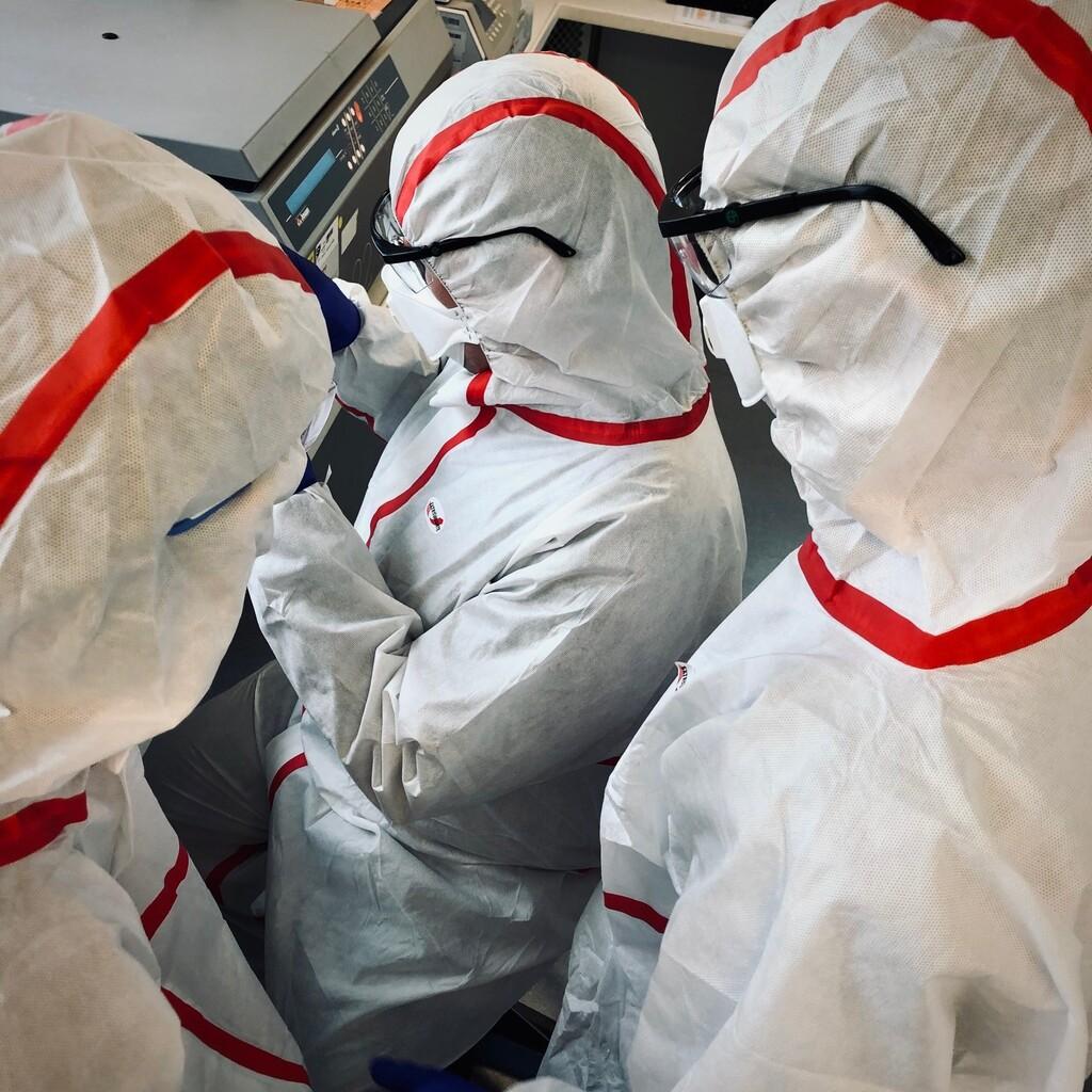 Discover Project: The Genesis of A Virus