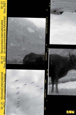 モントリオール国際ドキュメンタリーフェスティバル - 2021 モントリオール国際ドキュメンタリーフェスティバル - 2021