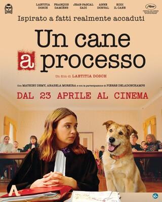 El juicio del perro - Italy