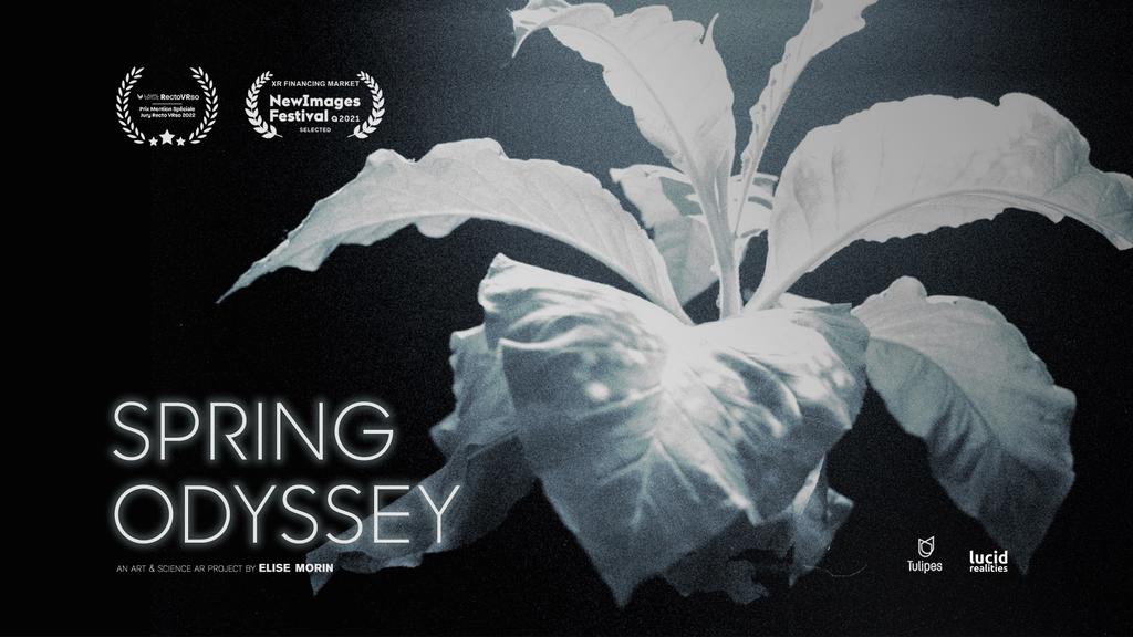 South by SouthWest - 2023