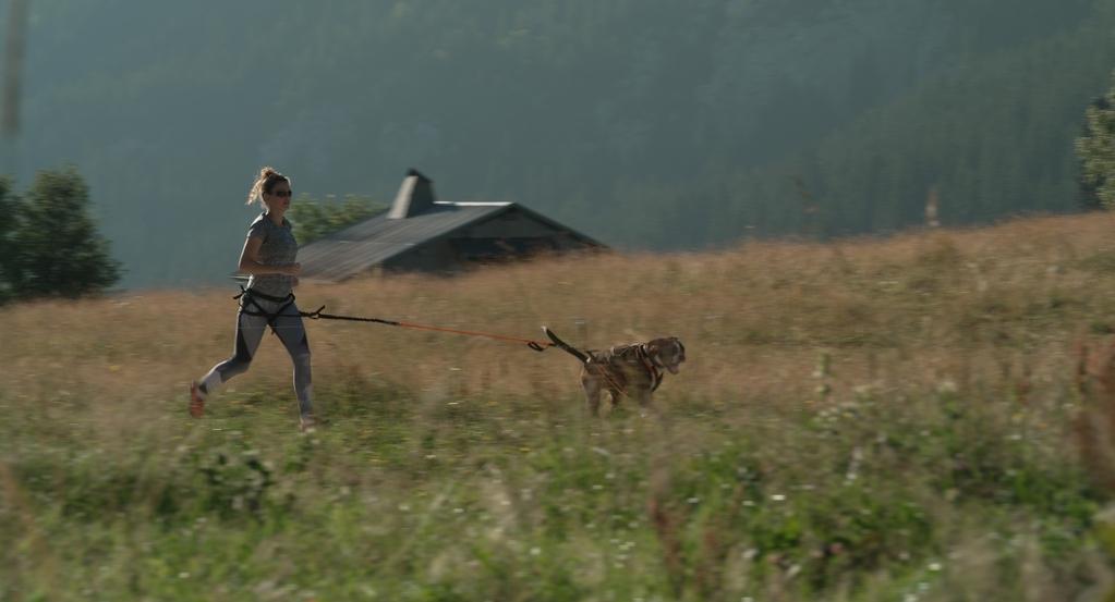 Elle entend pas la moto Elle entend pas la moto