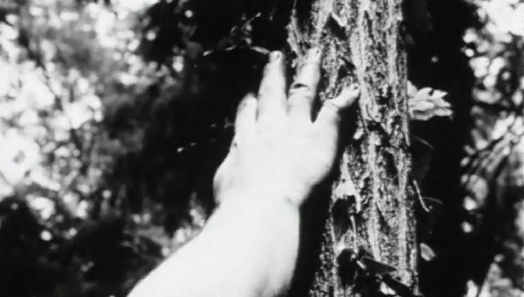 Empreintes Empreintes