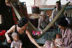 Holy Lola / 仮題:ホリー・ローラ Holy Lola / 仮題:ホリー・ローラ