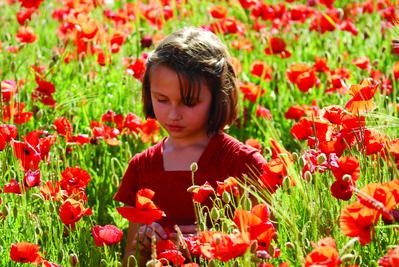 La Clé des champs de Marie Perennou, Claude Nuridsany (2010) - UniFrance
