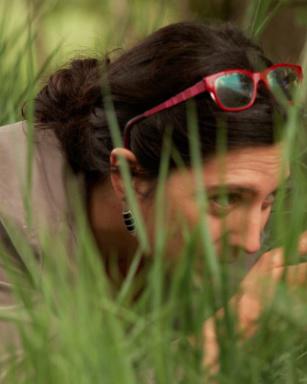 Anaïs Enshaian Anaïs Enshaian