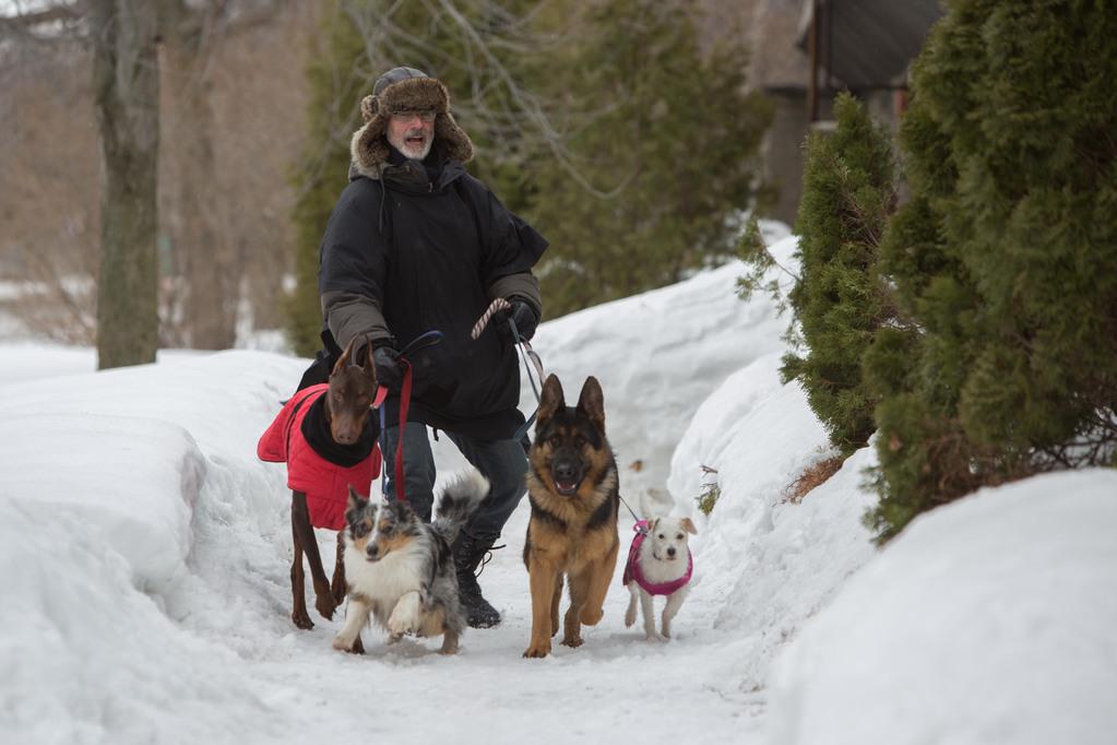 Thierry Lhermitte Thierry Lhermitte