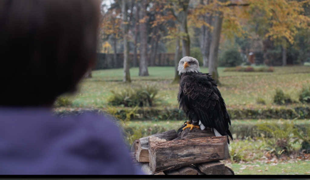 Philippe Fayard Philippe Fayard