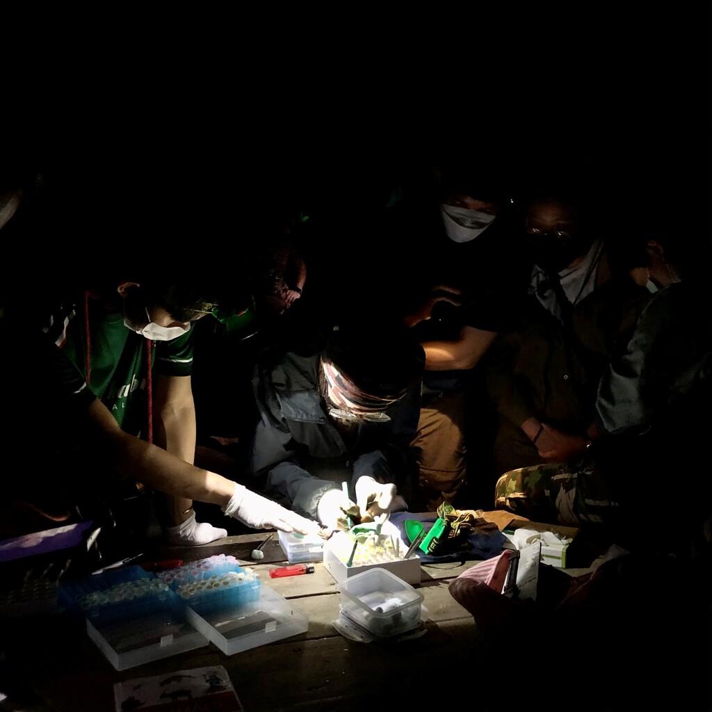 Discover Project: The Genesis of A Virus