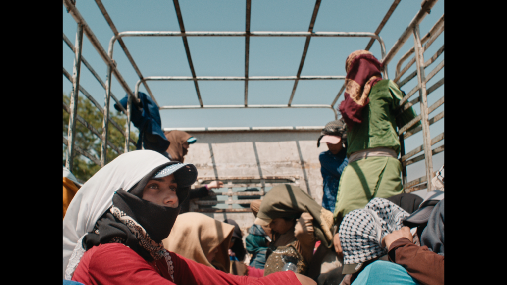 Curta Cinema - 2021 Curta Cinema - 2021