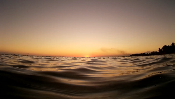 The Sea is History The Sea is History