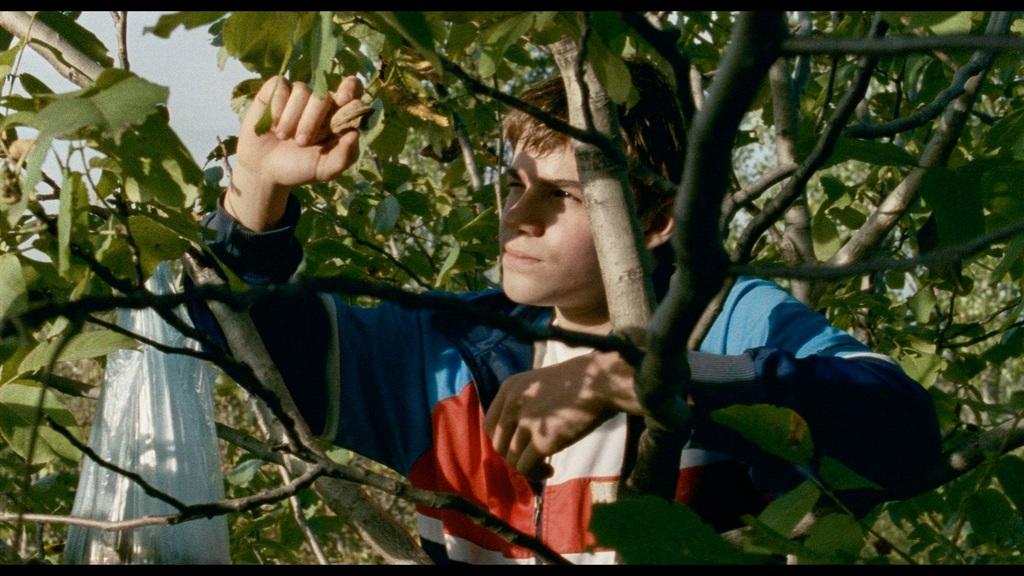 Lost Country - © KinoElektron - Easy Riders Films Lost Country - © KinoElektron - Easy Riders Films