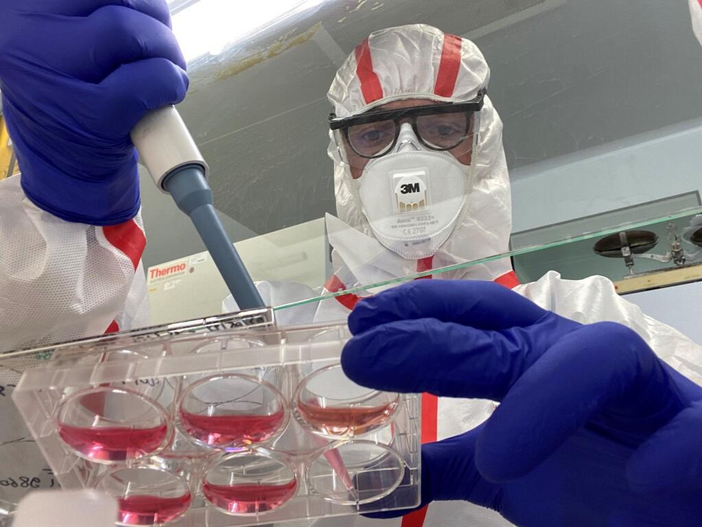 Discover Project: The Genesis of A Virus