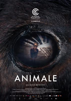Animale - Czech Republic