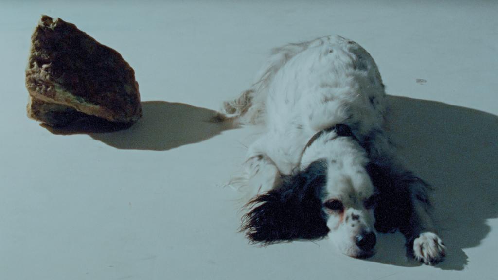 Laida Lertxundi