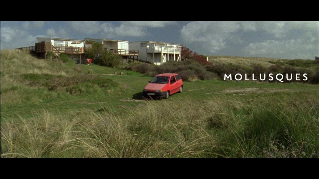 Mollusques Mollusques