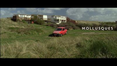 Mollusques Mollusques